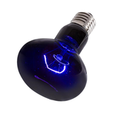 Reptizoo Nightglow Moonlight Lamp (75W) - Jozi Bugs