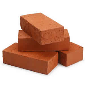 Coco Peat Brick – Jozi Bugs