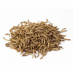 Dried Mealworms - Jozi Bugs